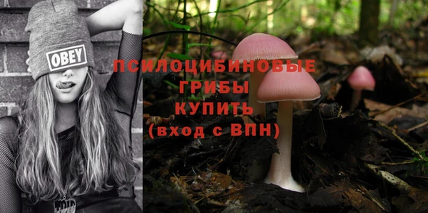 мдпв Арсеньев