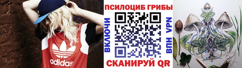 Галлюциногенные грибы мицелий магазин продажи Петровск